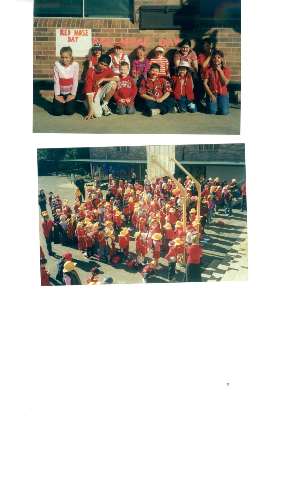 2003 Red Nose Day